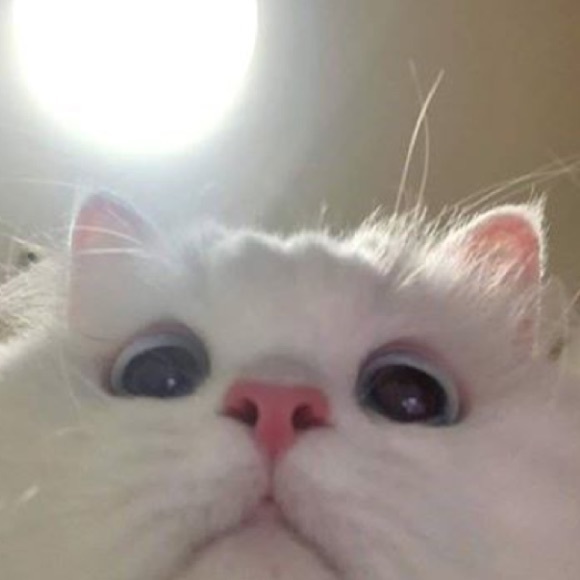 ramosruby59
